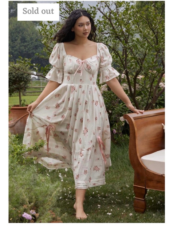 Lacemade Dresses & Skirts - Lacemade Rose’s Smile Corset Dress Size 0XL (Curve and Plus) NWT